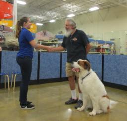 Penny is called on to assist in testing other dogs and training new canine instructors at Petsmart